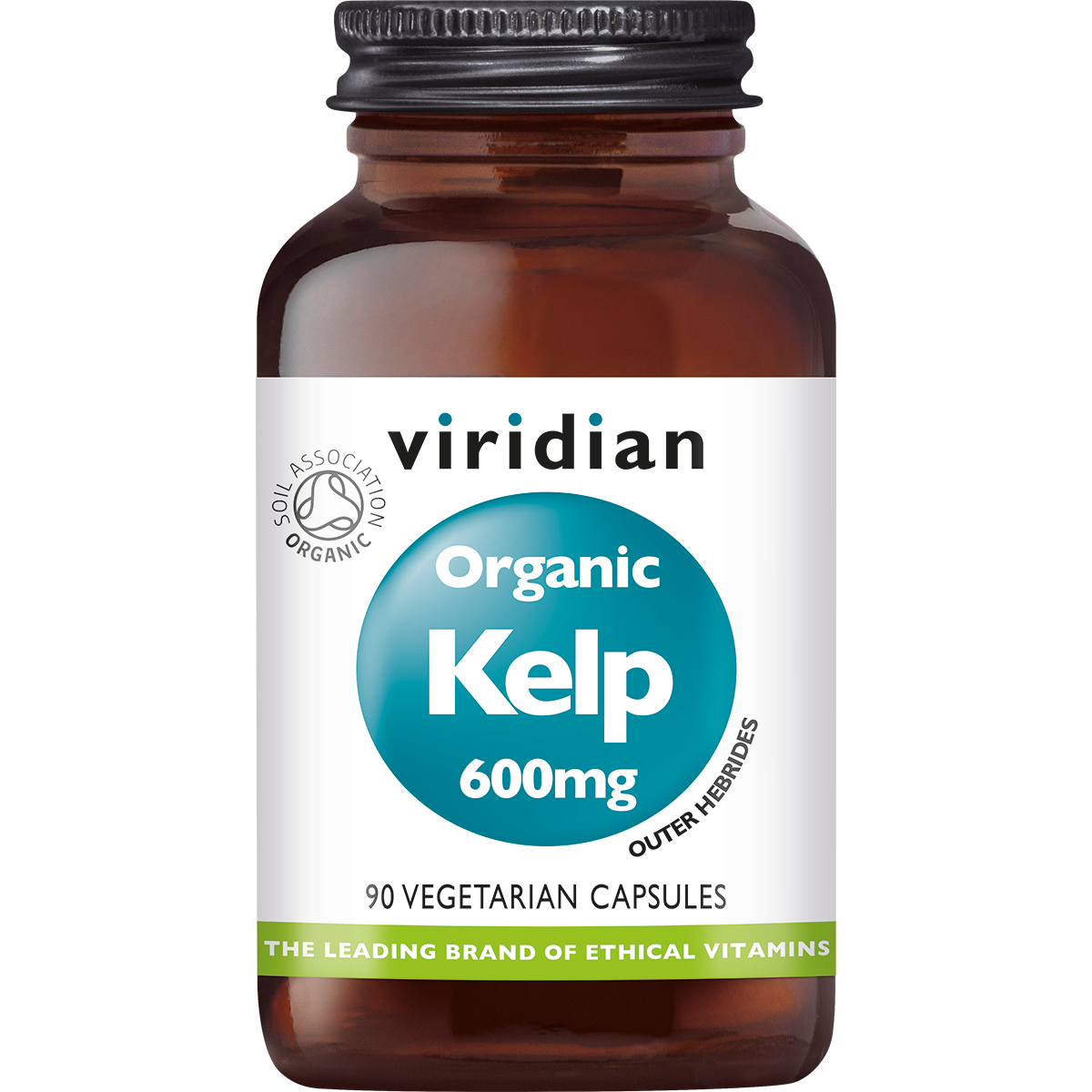 Organic Kelp